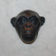 Monkey - head (colour)